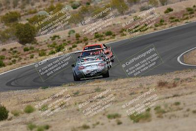 media/May-03-2025-Lucky Dog Racing (Sat) [[206de64b9d]]/Turn 2 (1020am-1120am)/